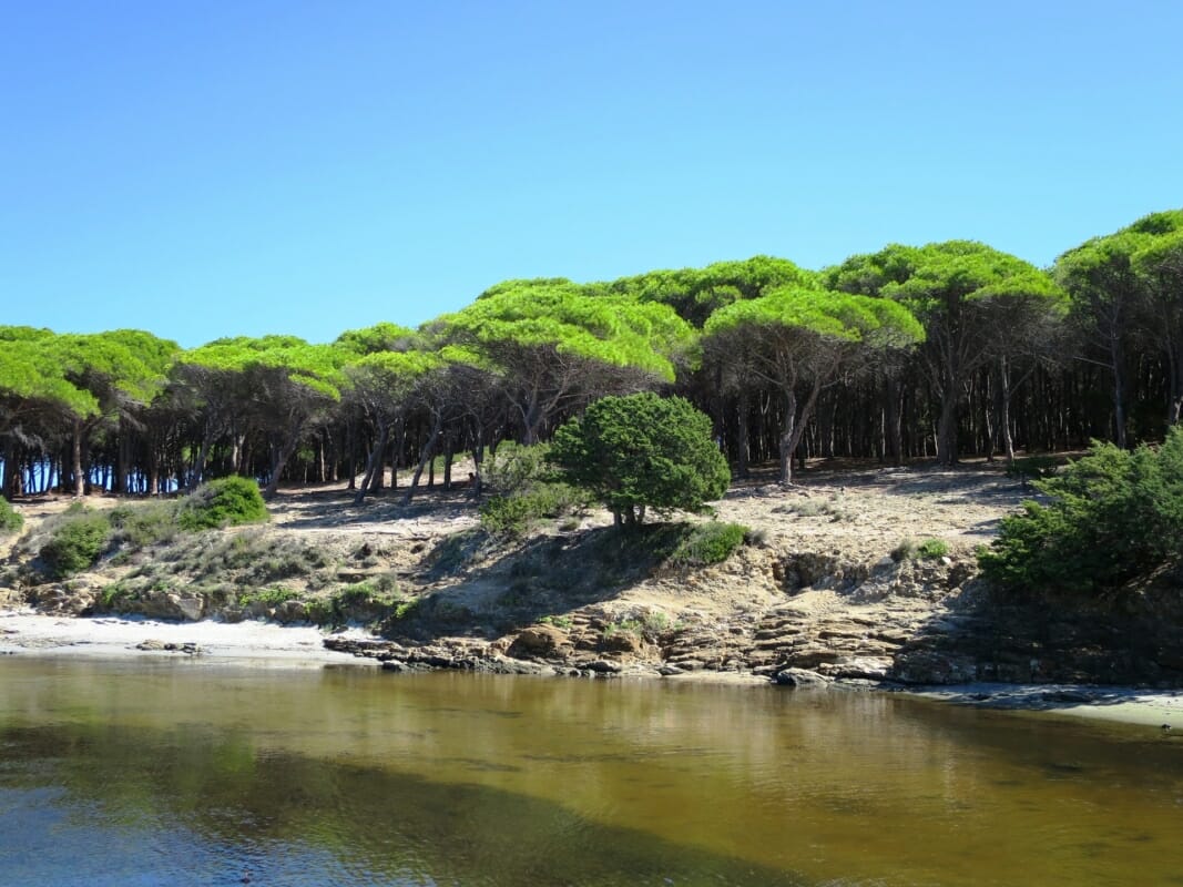 Plages de Budoni La Pineta