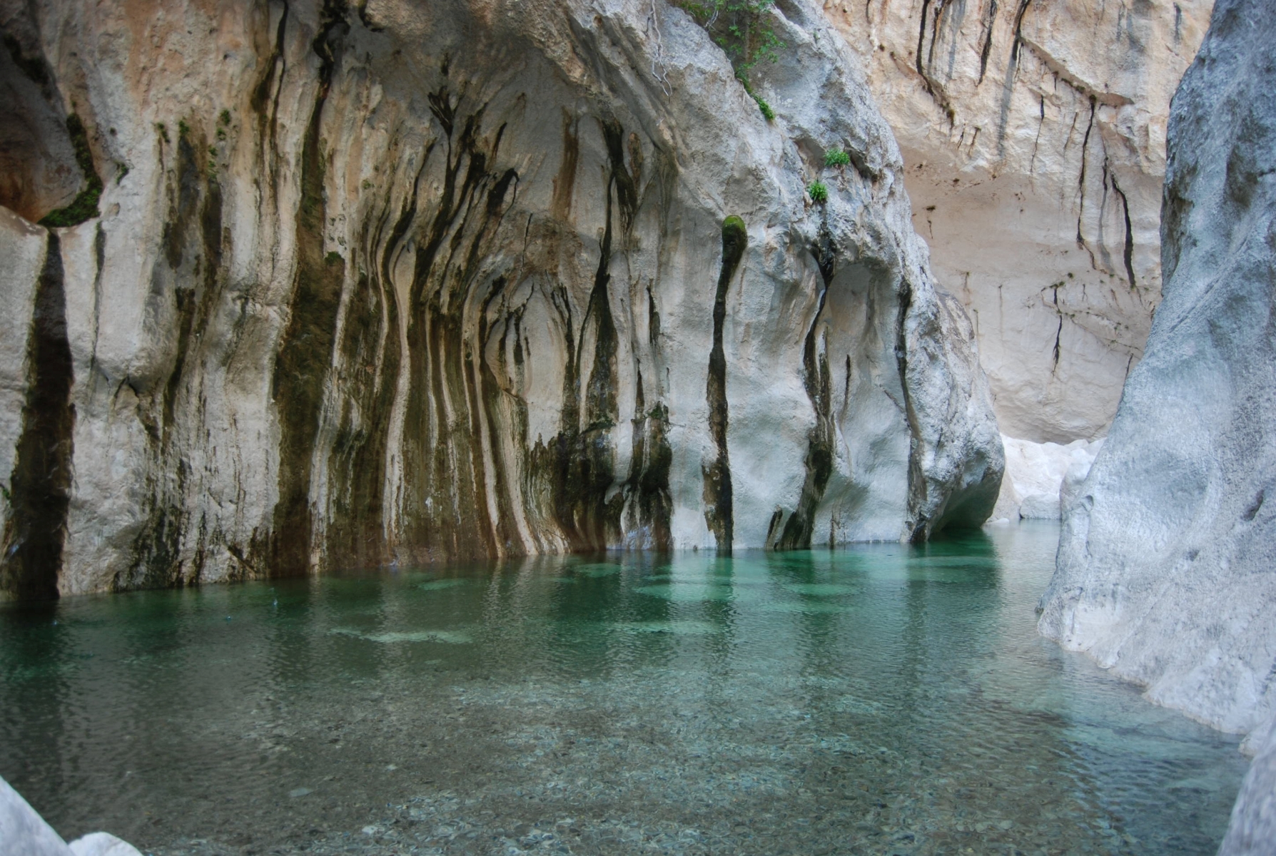Canyon Sardo