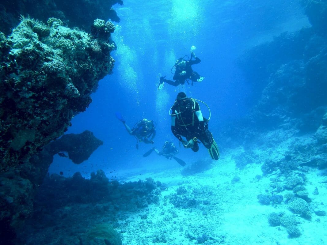 Diving Diving In Sardinia