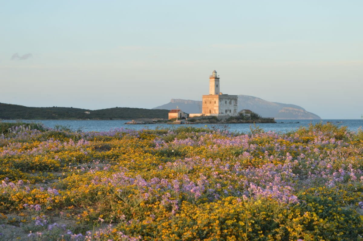 Faro Di Olbia In Primavera