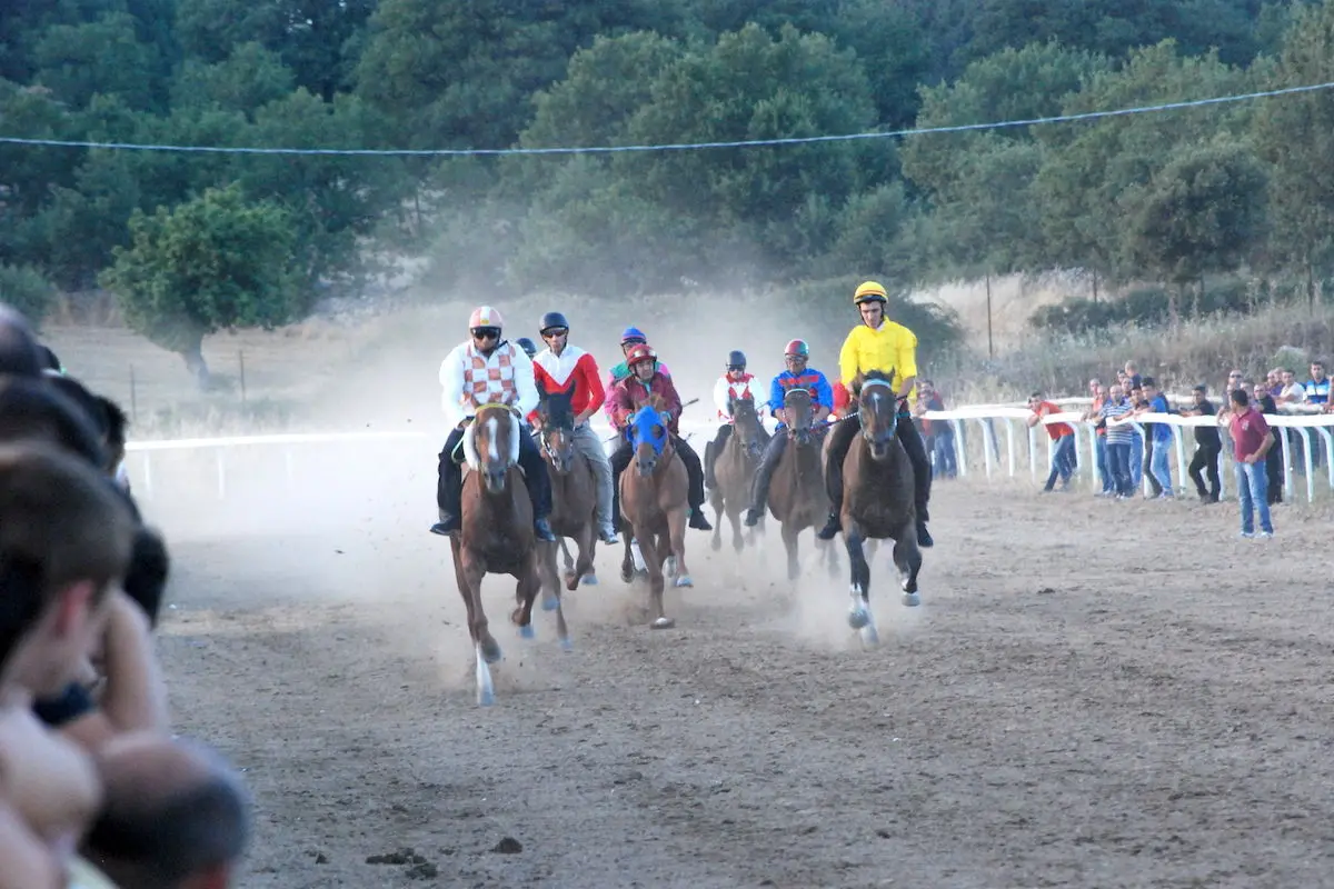 Palio di Fonni