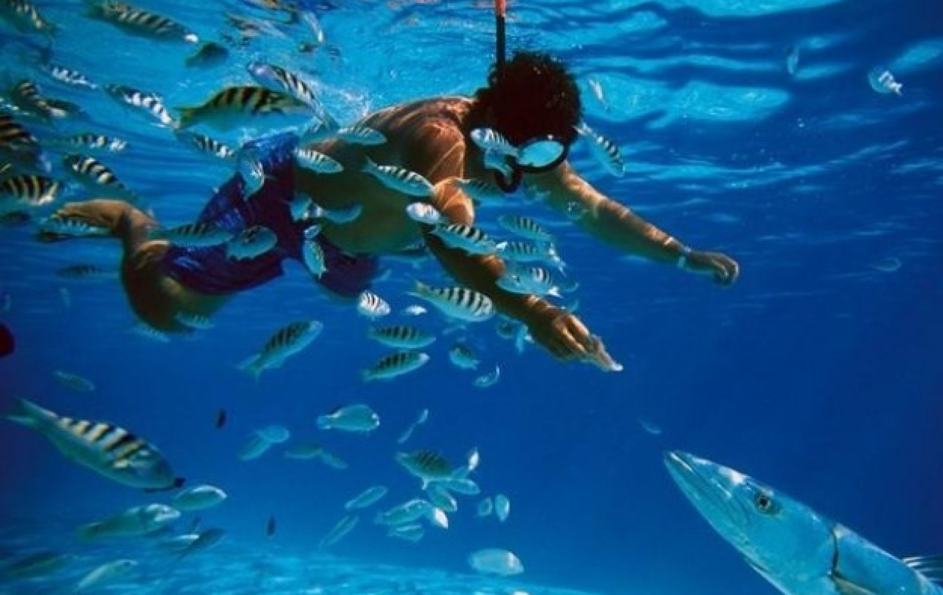 Snorkeling