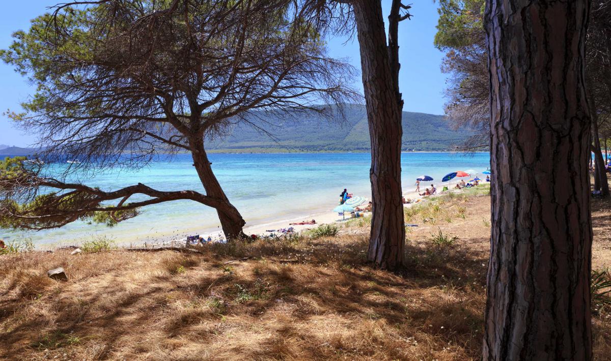 Spiaggia Di Mugoni: Tutto Quello Che Devi Sapere Sulla Splendida Spiaggia Di Mugoni Vicino Ad Alghero