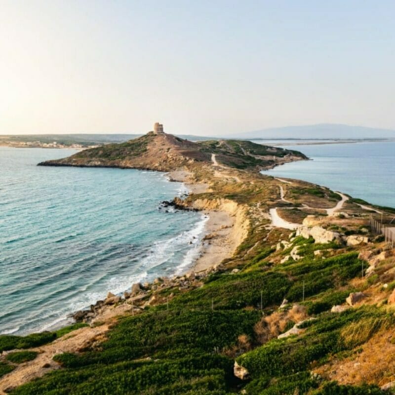 Tharros-San-Giovanni-Sinis-Cabras