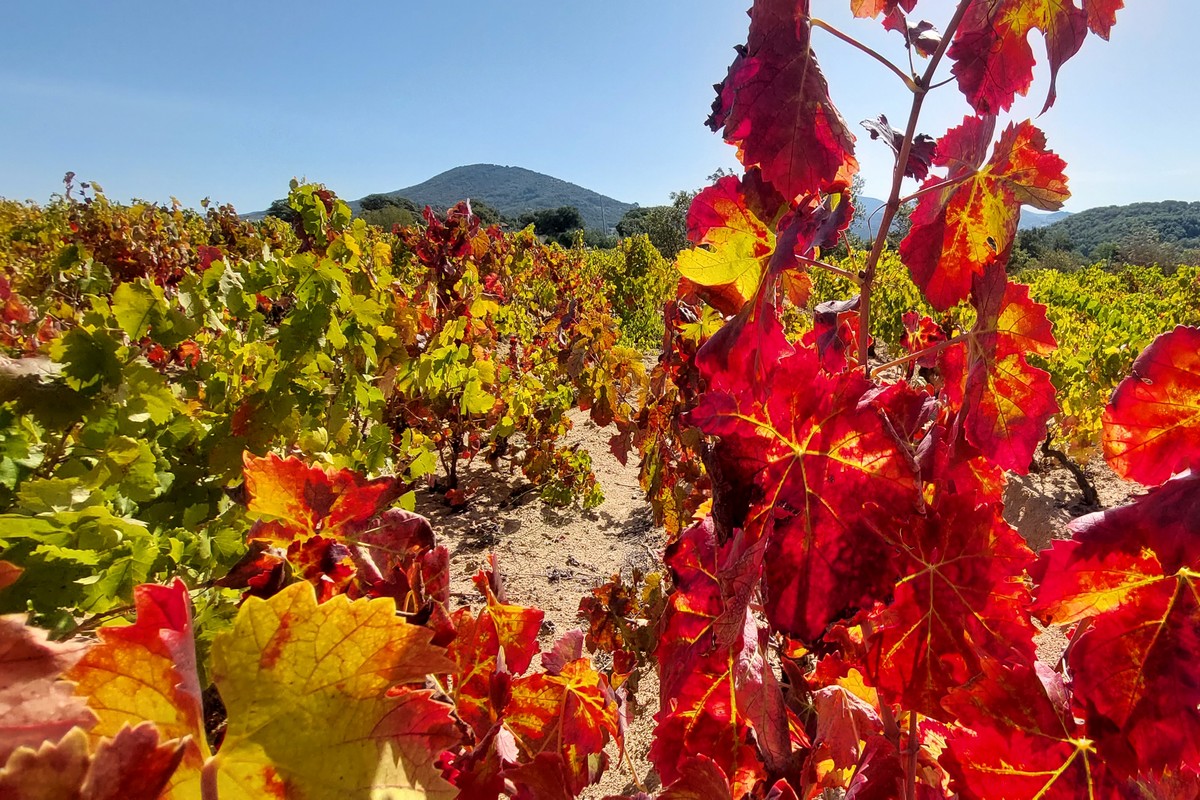 Autunno In Sardegna: Cosa Fare In Barbagia
