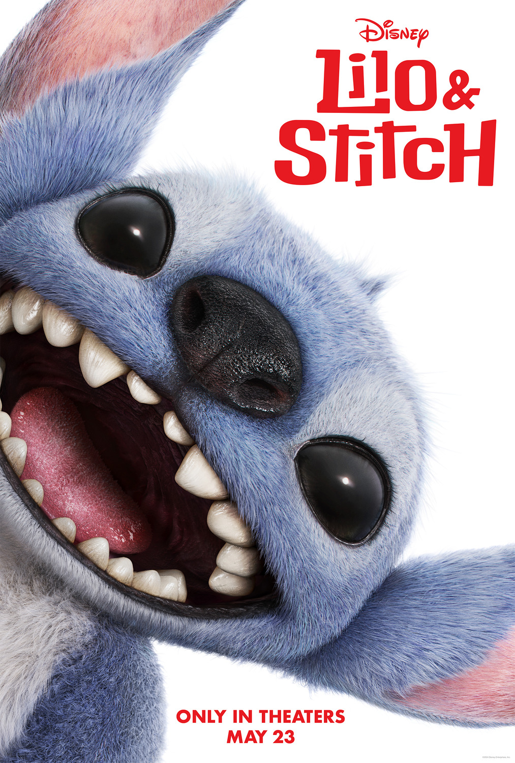 Lillo &Amp; Stitch – Porto Rotondo Al Cinema