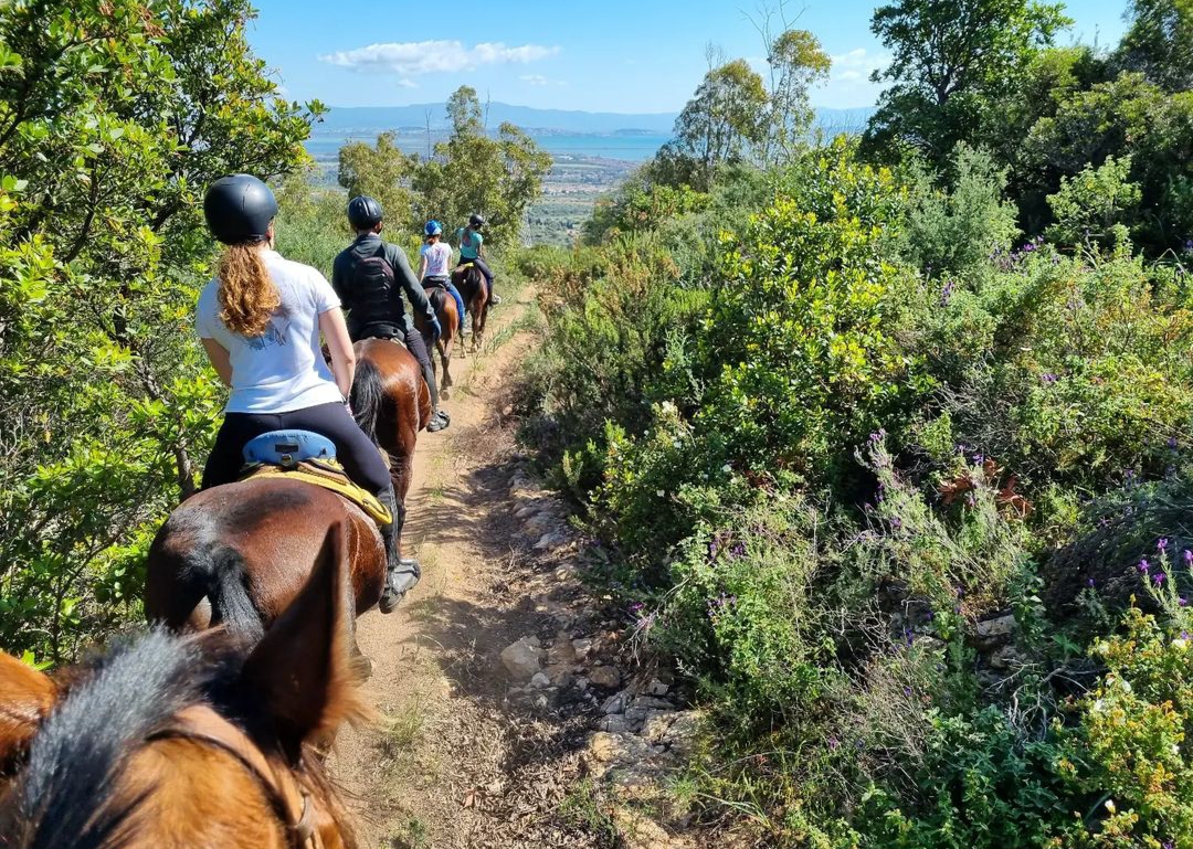 Passeggiate A Cavallo In Sardegna E Escursioni Indimenticabili Passeggiate A Cavallo In Sardegna E Escursioni Indimenticabili
