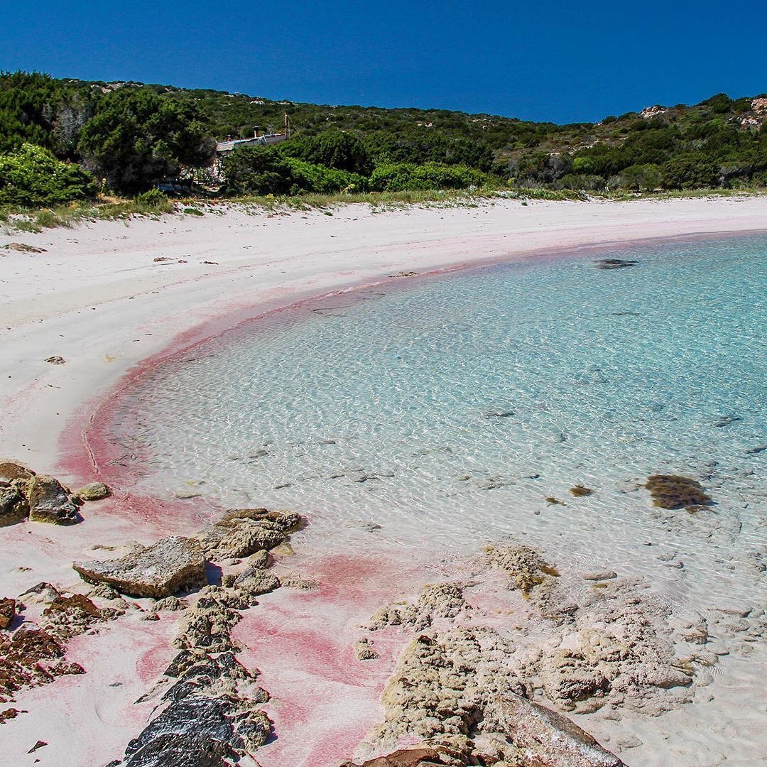 Spiaggia rosa nell' isola di Budelli